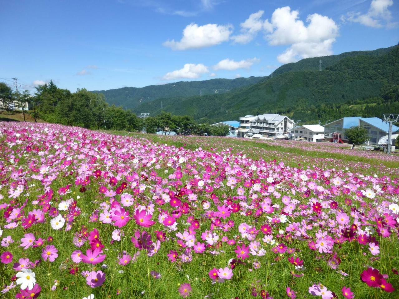 Hotel Joyful Honoki Takayama  Zewnętrze zdjęcie